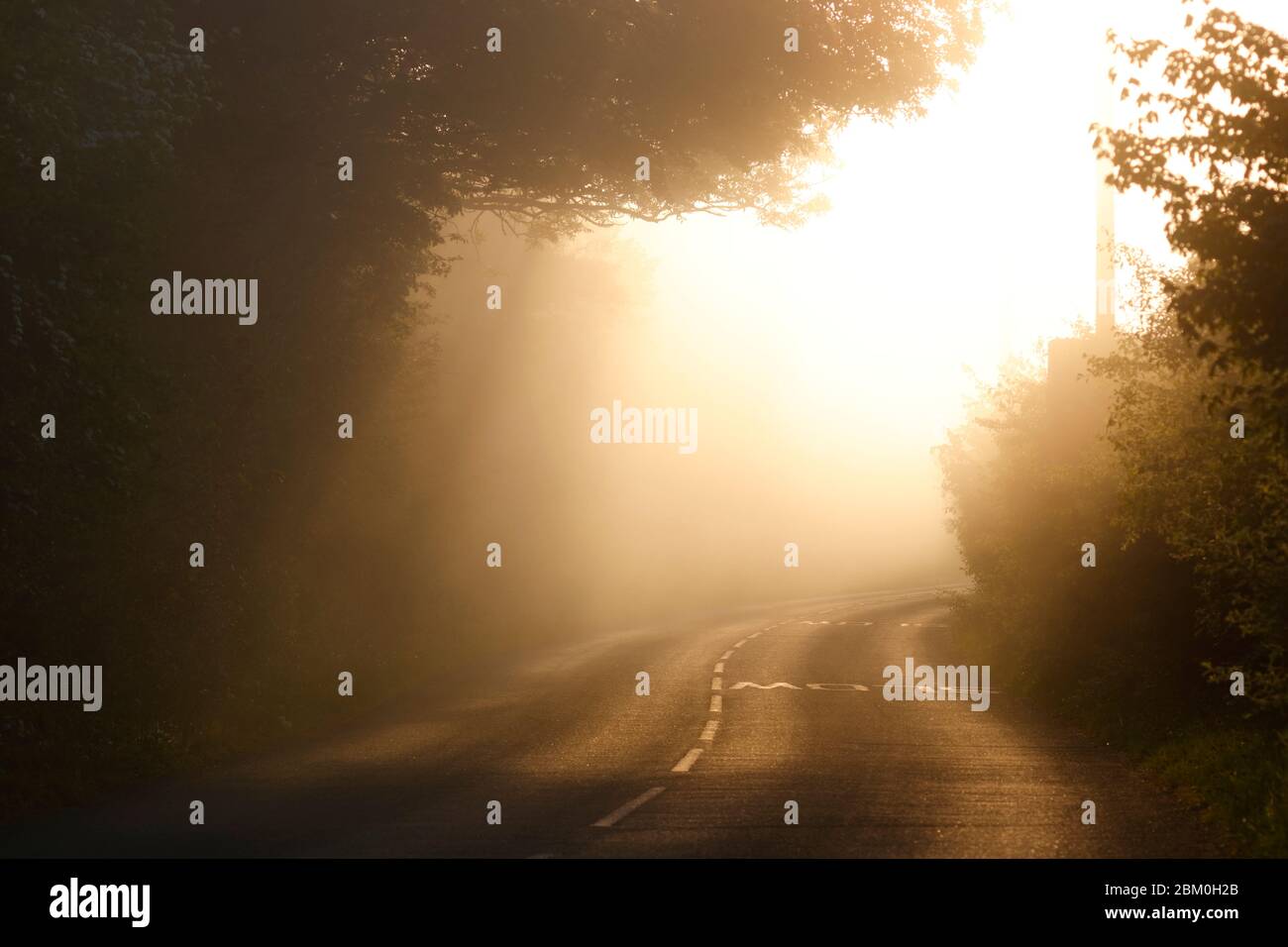 Une matinée de brume sur Newton Lane, qui relie Allerton Bywater dans le West Yorkshire et Fairburn dans le North Yorkshire. Banque D'Images