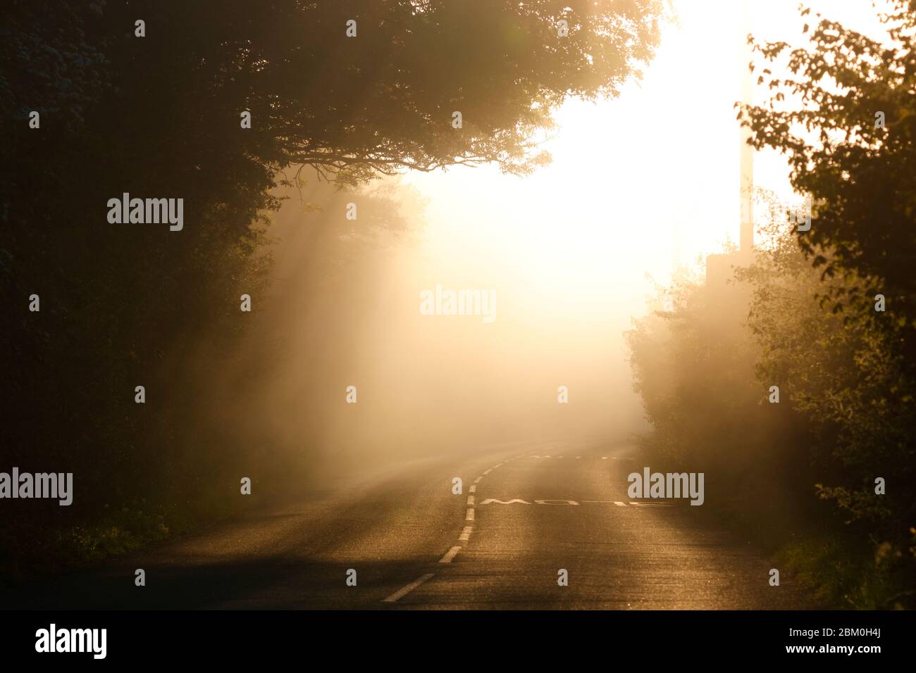 Une matinée de brume sur Newton Lane, qui relie Allerton Bywater dans le West Yorkshire et Fairburn dans le North Yorkshire. Banque D'Images