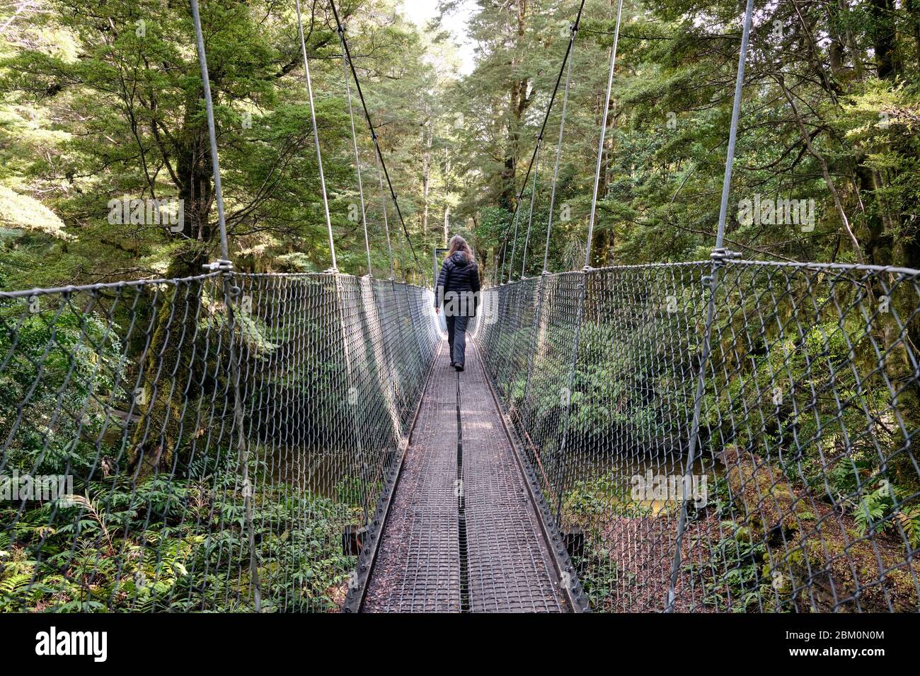 Femme traversant un pont suspendu sur un ruisseau sur la piste Kepler. Banque D'Images