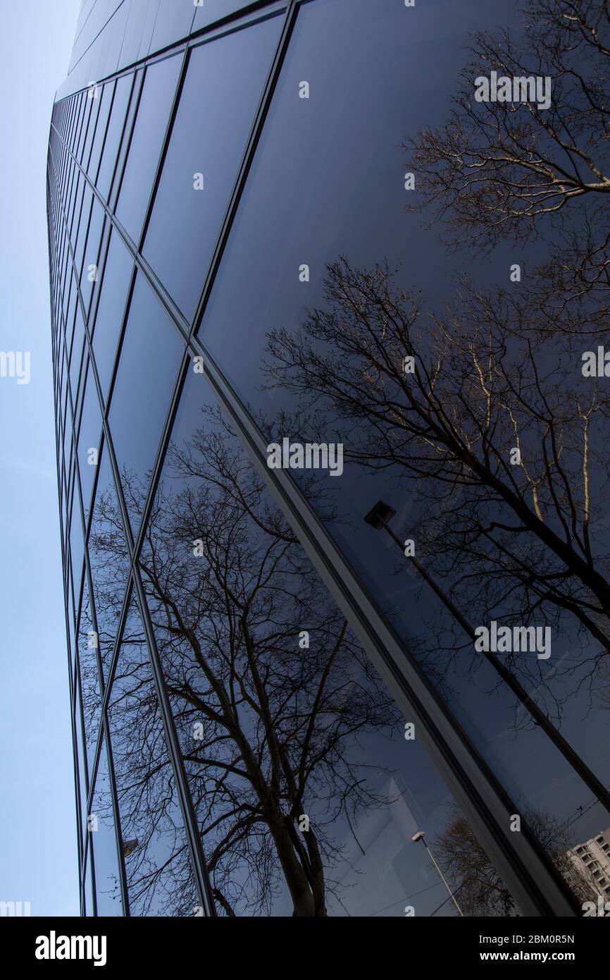 Reflet d'arbres sur un verre bleu d'un gratte-ciel Banque D'Images