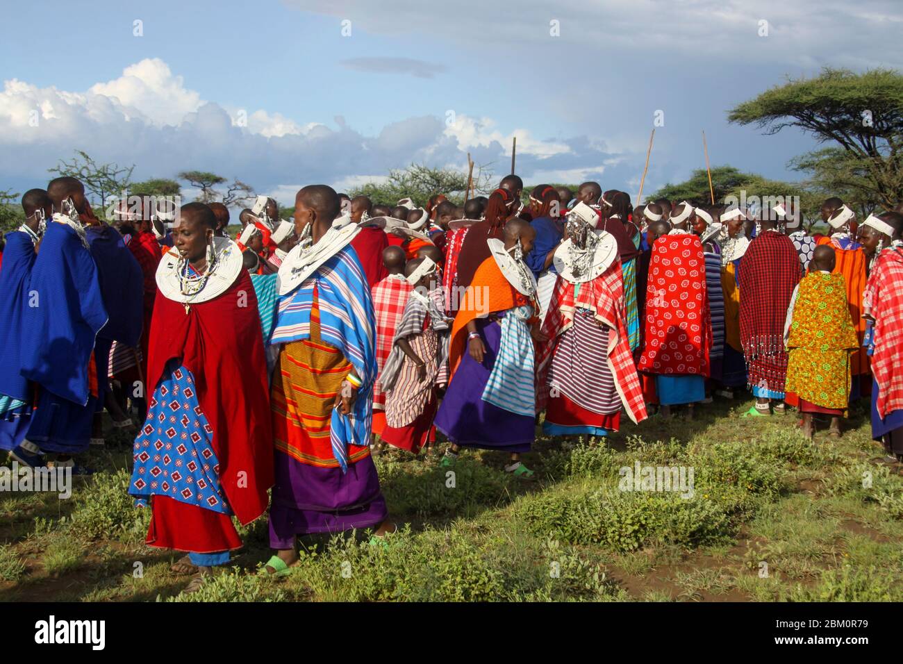 Les femmes de Maasai, avec leurs bijoux Maasai, portent une tenue de fête traditionnelle. Maasai est un groupe ethnique de personnes semi-nomades photographiées en Tanzanie Banque D'Images
