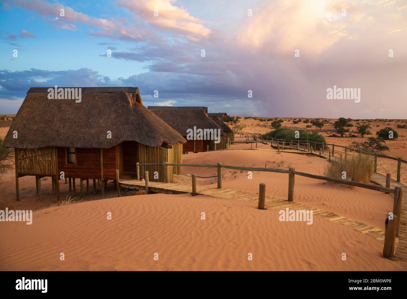 Ta Shebube Rooiputs Lodge, parc transfrontier de Kgalagadi, Cap Nord, Afrique du Sud Banque D'Images