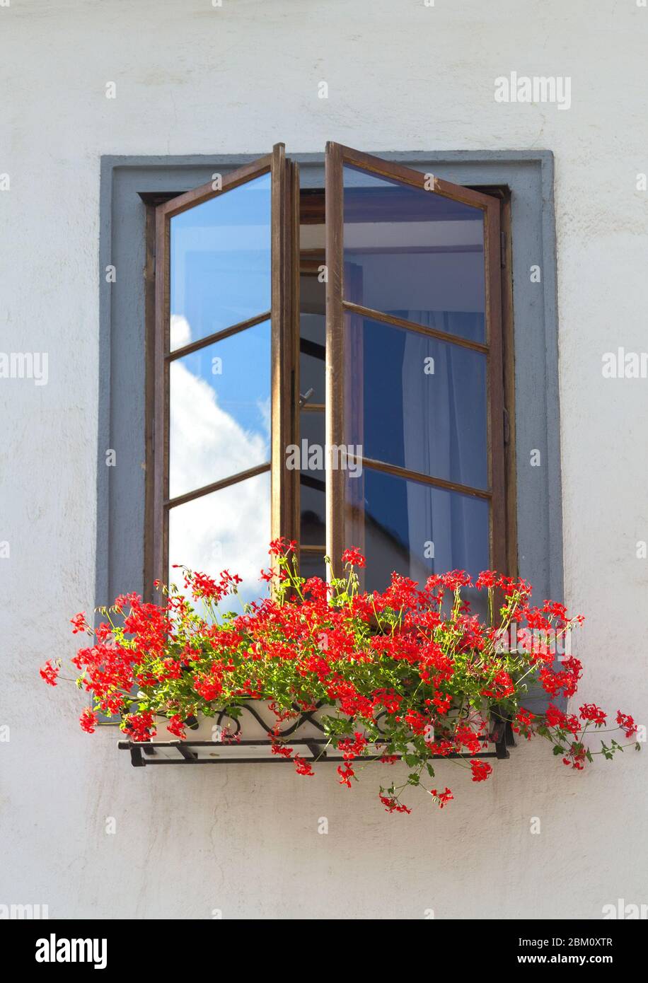 Fenêtre avec fleurs rouges sur un fond de mur blanc d'un bâtiment. Cesky Krumlov, république tchèque. Banque D'Images