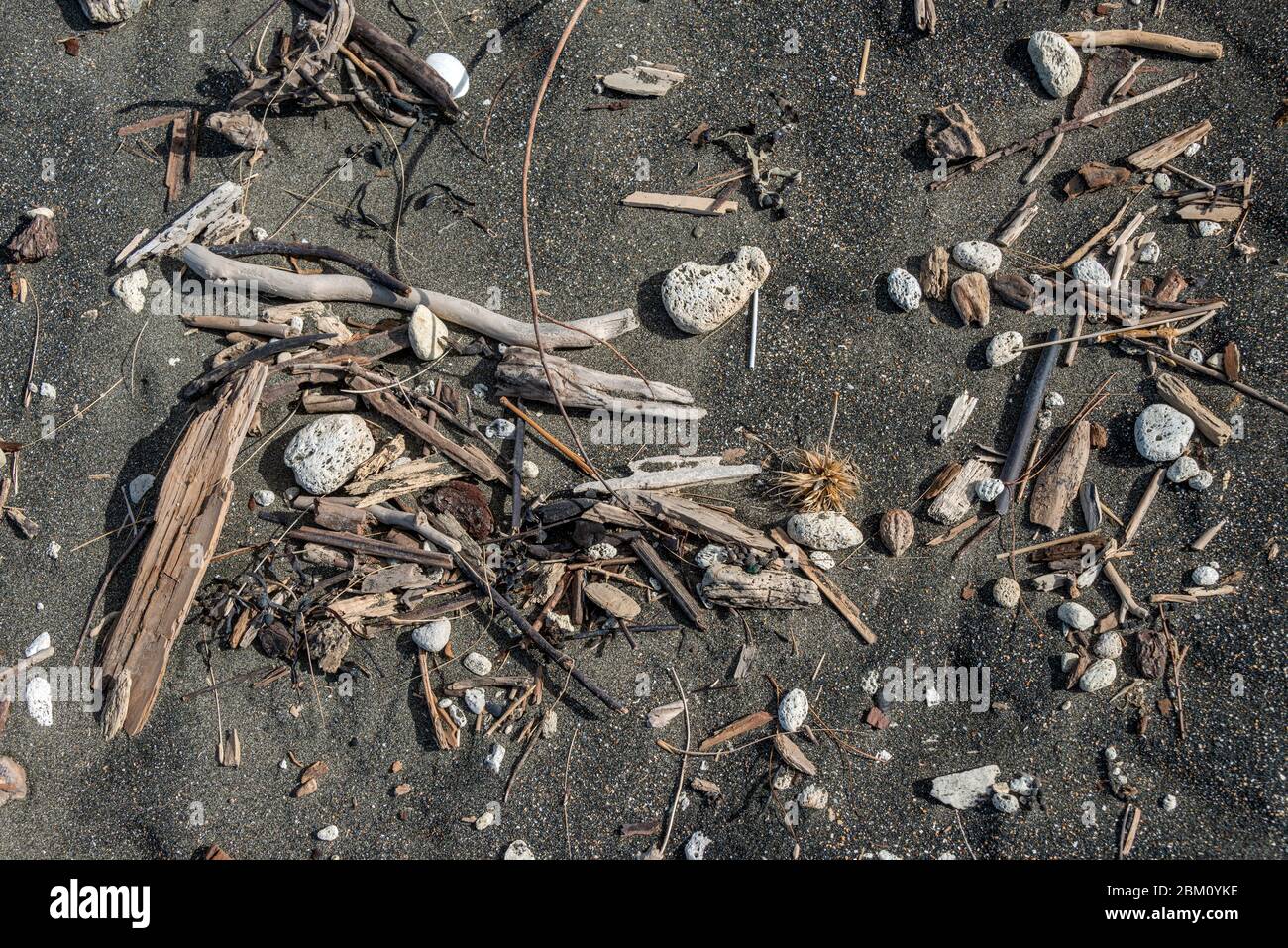 Une vue rapprochée de la portée naturelle de plage de bois de grève et de graminées sur une plage Banque D'Images