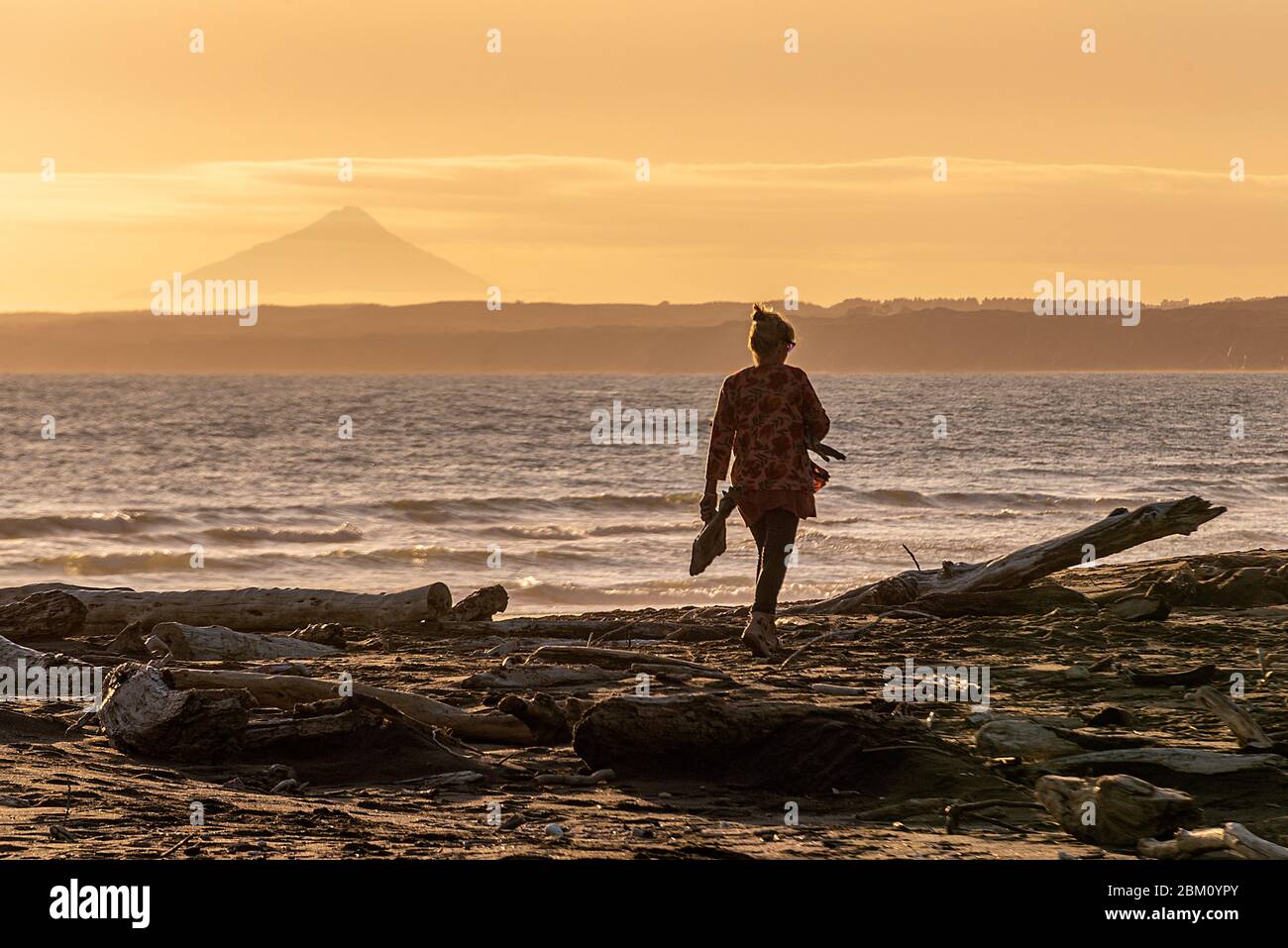 Une femme qui recueille du bois flotté sur une plage néo-zélandaise au coucher du soleil, le volcan du Mont Taranaki est en arrière-plan. Banque D'Images