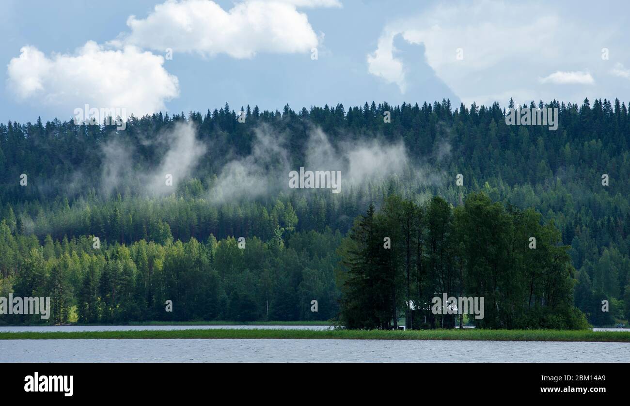 Vapeur d'eau s'élevant de la forêt après une tempête de houe , Finlande Banque D'Images