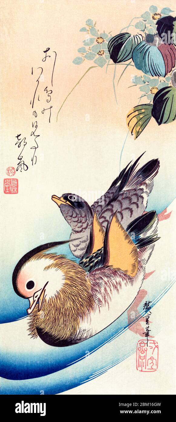 Utagawa Hiroshige, Oshidori, (Canards mandarin), imprimé bois, 1830-1858 Banque D'Images