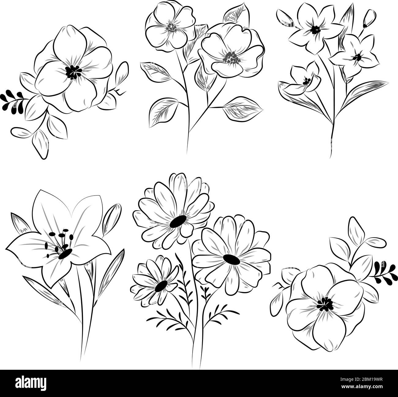 dessin-de-fleurs-banque-de-photographies-et-d-images-haute-r-solution