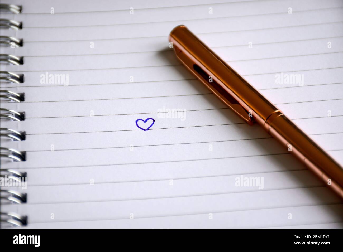 Cœur dessiné dans un carnet avec un stylo. Concept de Saint-Valentin et d'amour. Banque D'Images