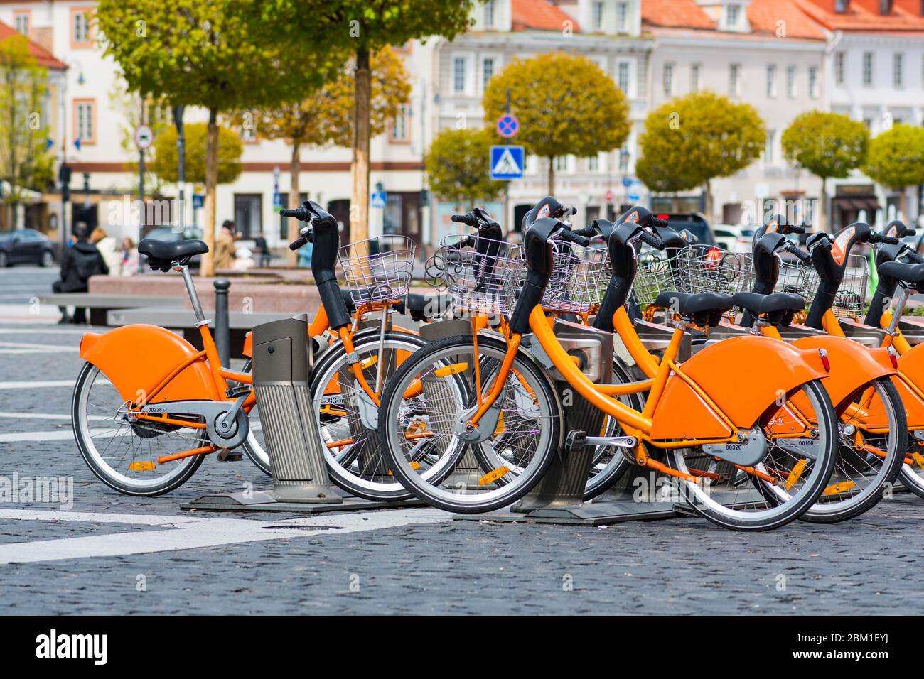 Transport durable. Une rangée de vélos garés pour la location dans la vieille ville, location de vélos de ville, système public de partage de vélos, vélo adapté Banque D'Images