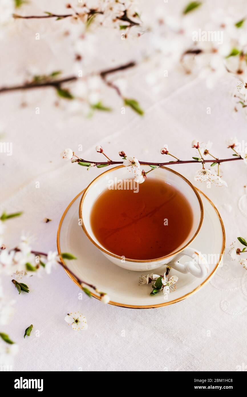 Une tasse de thé et des branches d'arbre en fleurs sur une table blanche Banque D'Images