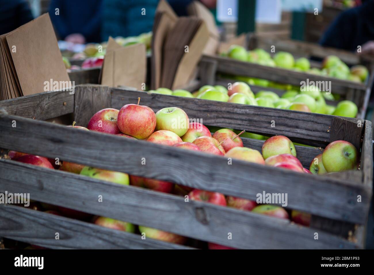 Pommes fraîches suédoises dans une boîte de pommes. Banque D'Images