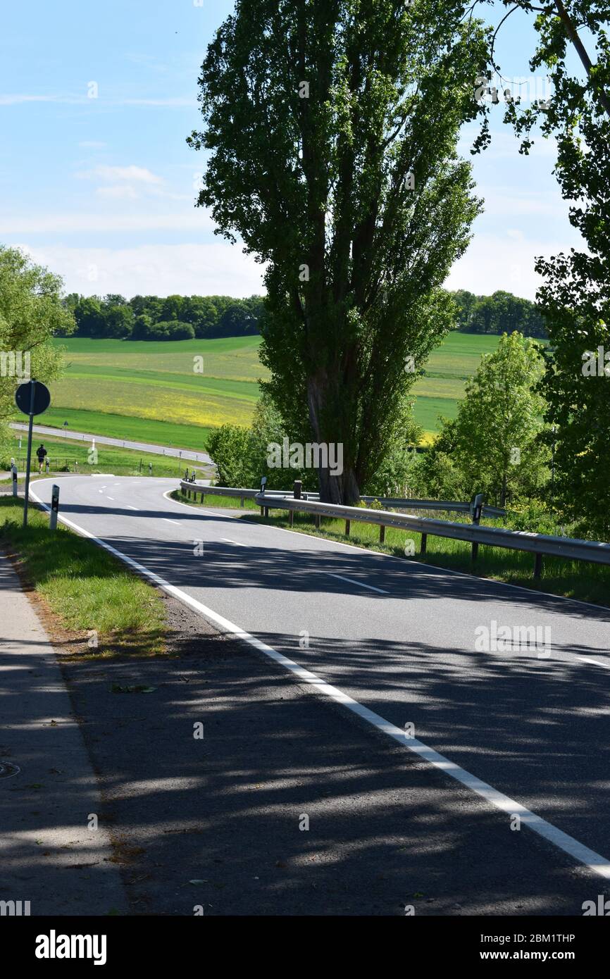 Petite route à travers le paysage de printemps dans l'Eifel Banque D'Images