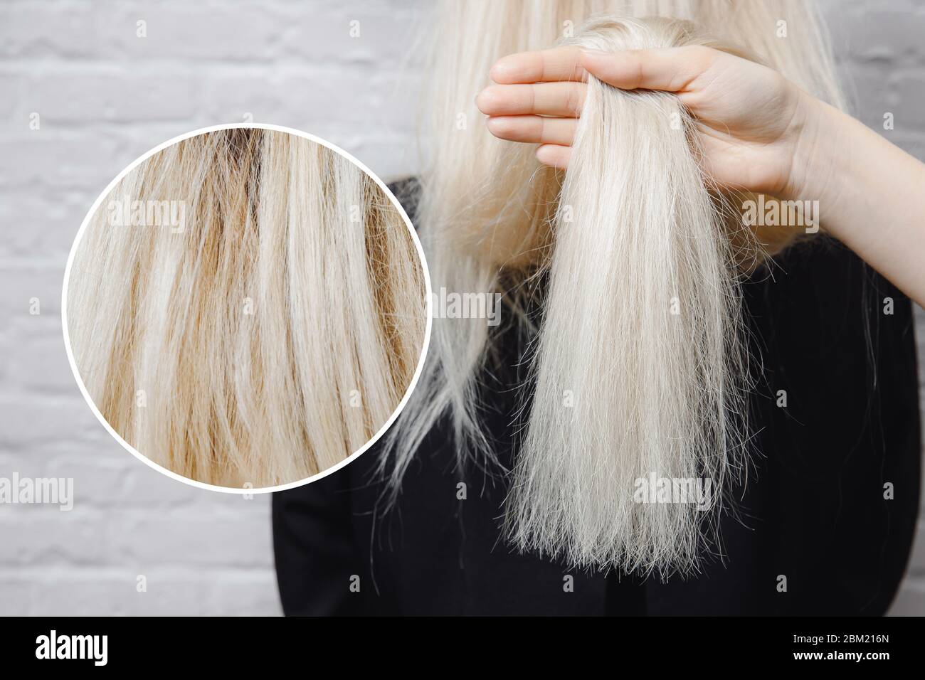 Texture des cheveux femelles endommagés gros plan sur fond gris. Concept de perte de couleur et de protéine Banque D'Images