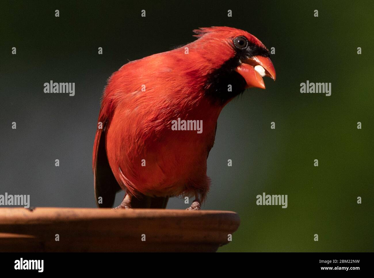 Moment des repas Banque D'Images