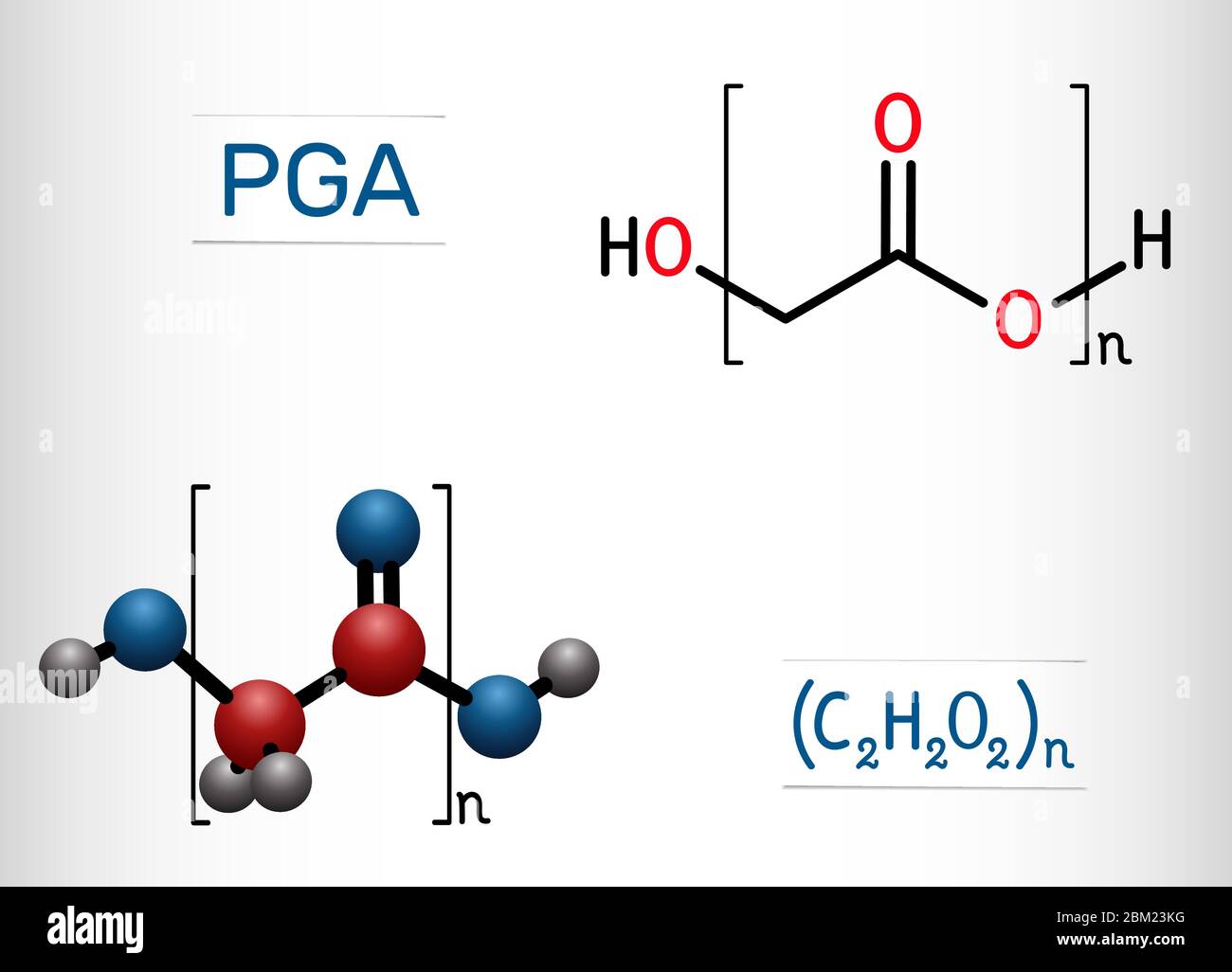 Polyglycolide ou acide polyglycolique, molécule PGA. C'est un polymère thermoplastique biodégradable. Formule chimique structurelle et modèle moléculaire. Vecteur Illustration de Vecteur