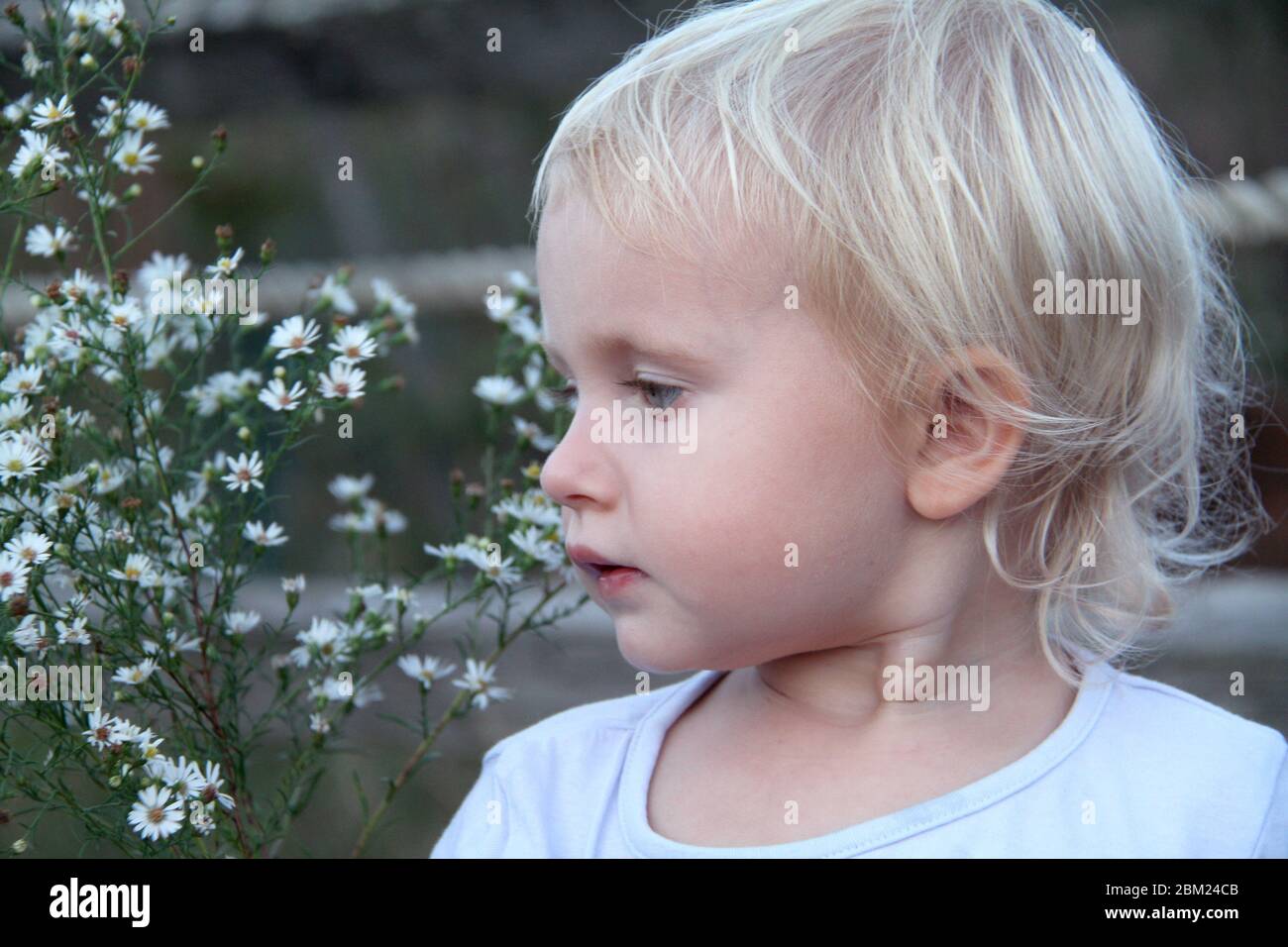 Portrait de petite fille blonde mignonne près de fleurs blanches Banque D'Images
