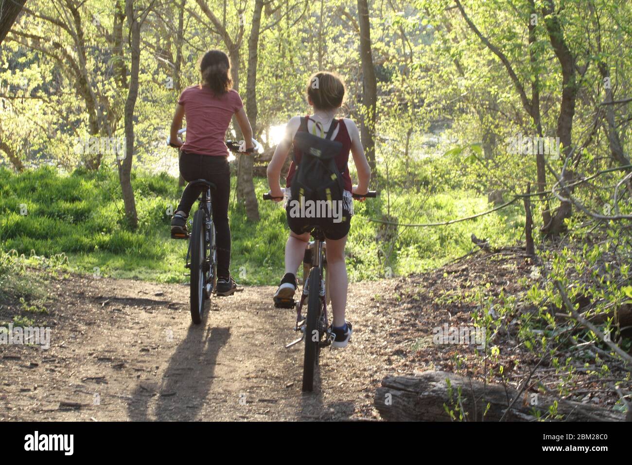 Les adolescentes qui font du vélo sur le chemin à travers les bois Banque D'Images