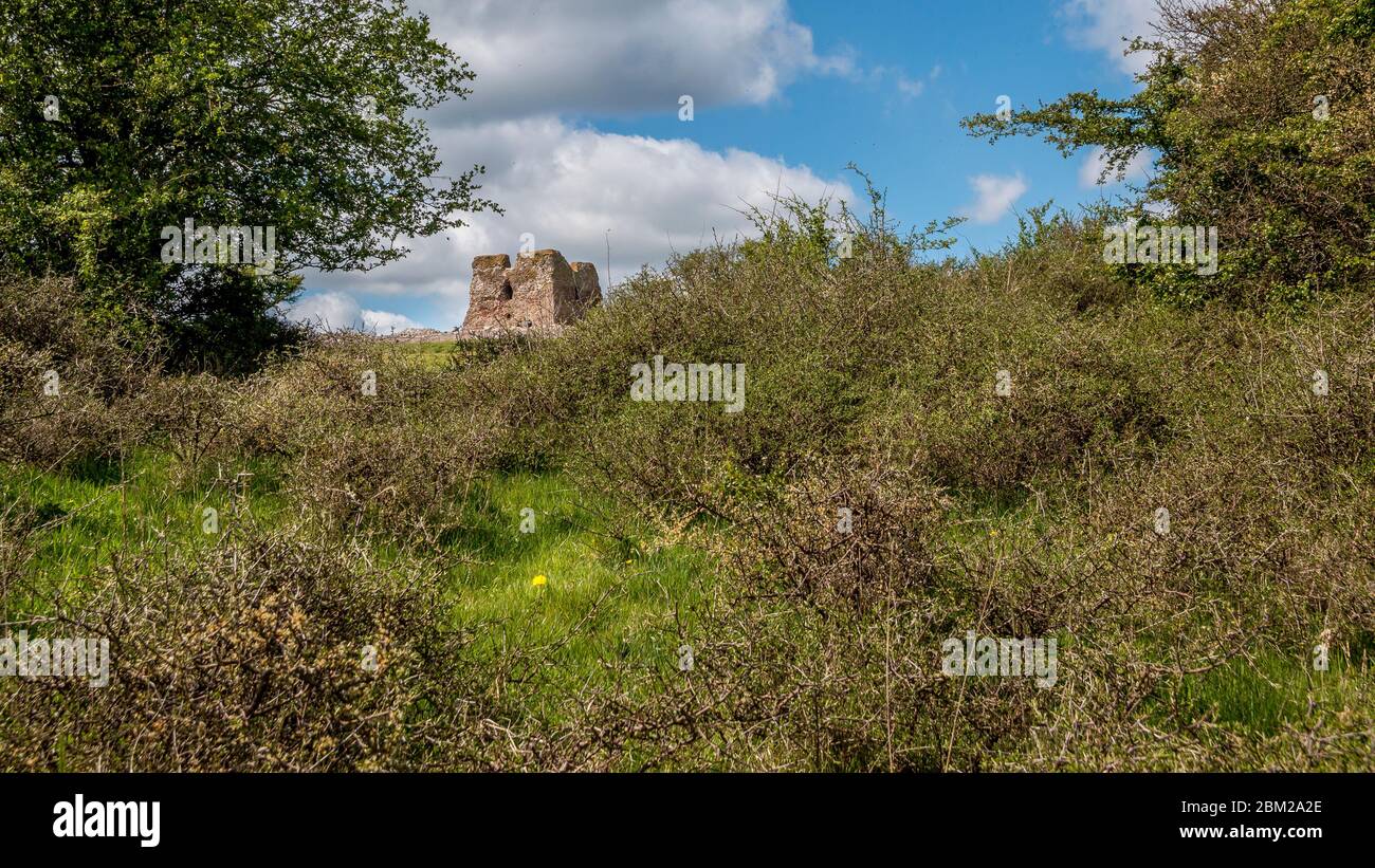 Le château de Kalo (Kalø Slot) est un château en ruines historique situé dans l'est du Jutland, Djursland, Danemark. Il a été construit au XIVe siècle. Ruine du château de Kalo Banque D'Images