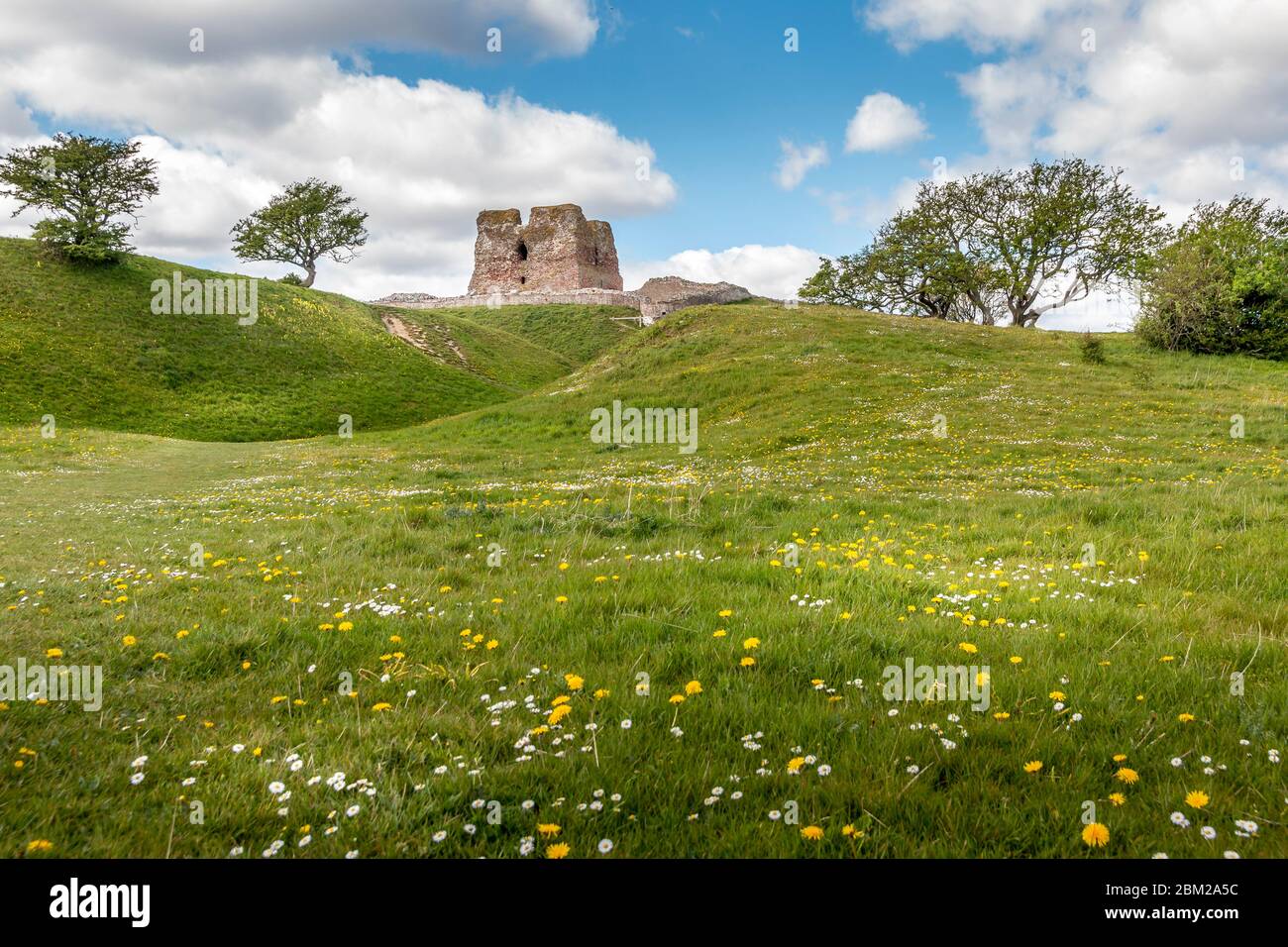 Le château de Kalo (Kalø Slot) est un château en ruines historique situé dans l'est du Jutland, Djursland, Danemark. Il a été construit au XIVe siècle. Ruine du château de Kalo Banque D'Images