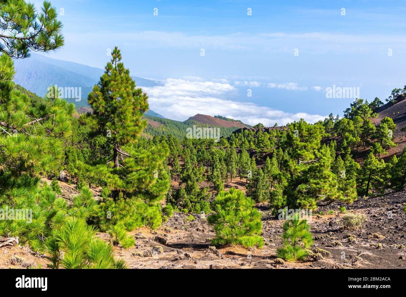 Vue panoramique depuis les sommets des volcans de Ruta de los à la Palma, îles Canaries Banque D'Images