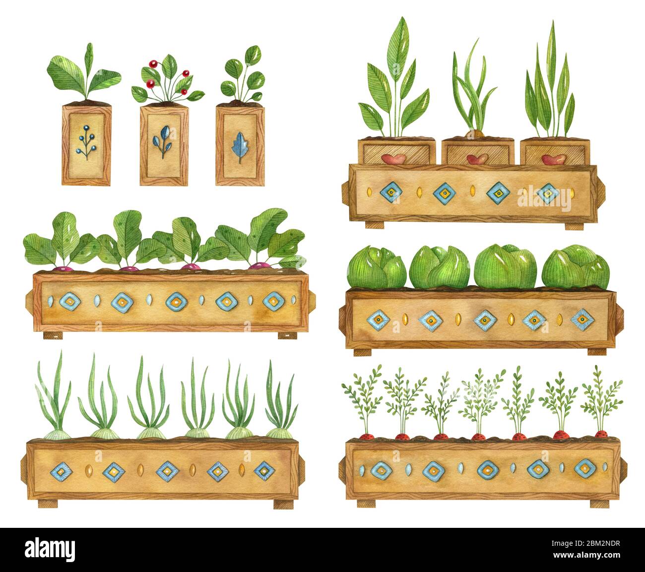 Ensemble de jardinage aquarelle avec plantes dans les pots. Illustration peinte à la main brillante des semis de jardinage, de la betterave, du chou, de l'oignon et des carottes. Banque D'Images