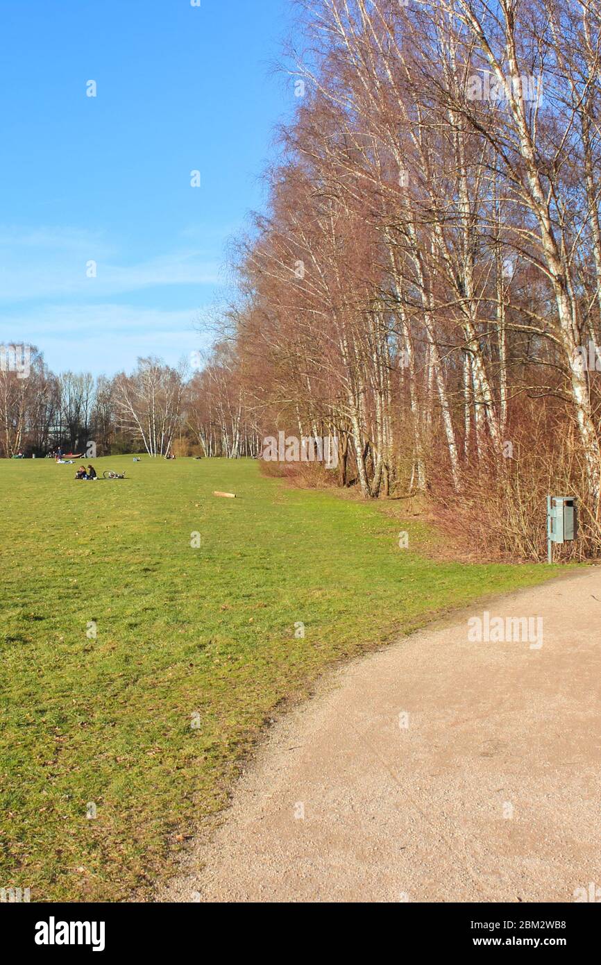 Tremoniapark à Dortmund, Rhénanie-du-Nord-Westphalie, Allemagne. Parc de la ville photographié par une journée ensoleillée en automne. Arbre sans feuilles, personnes en arrière-plan lointain. Parc de Tremonia. Banque D'Images