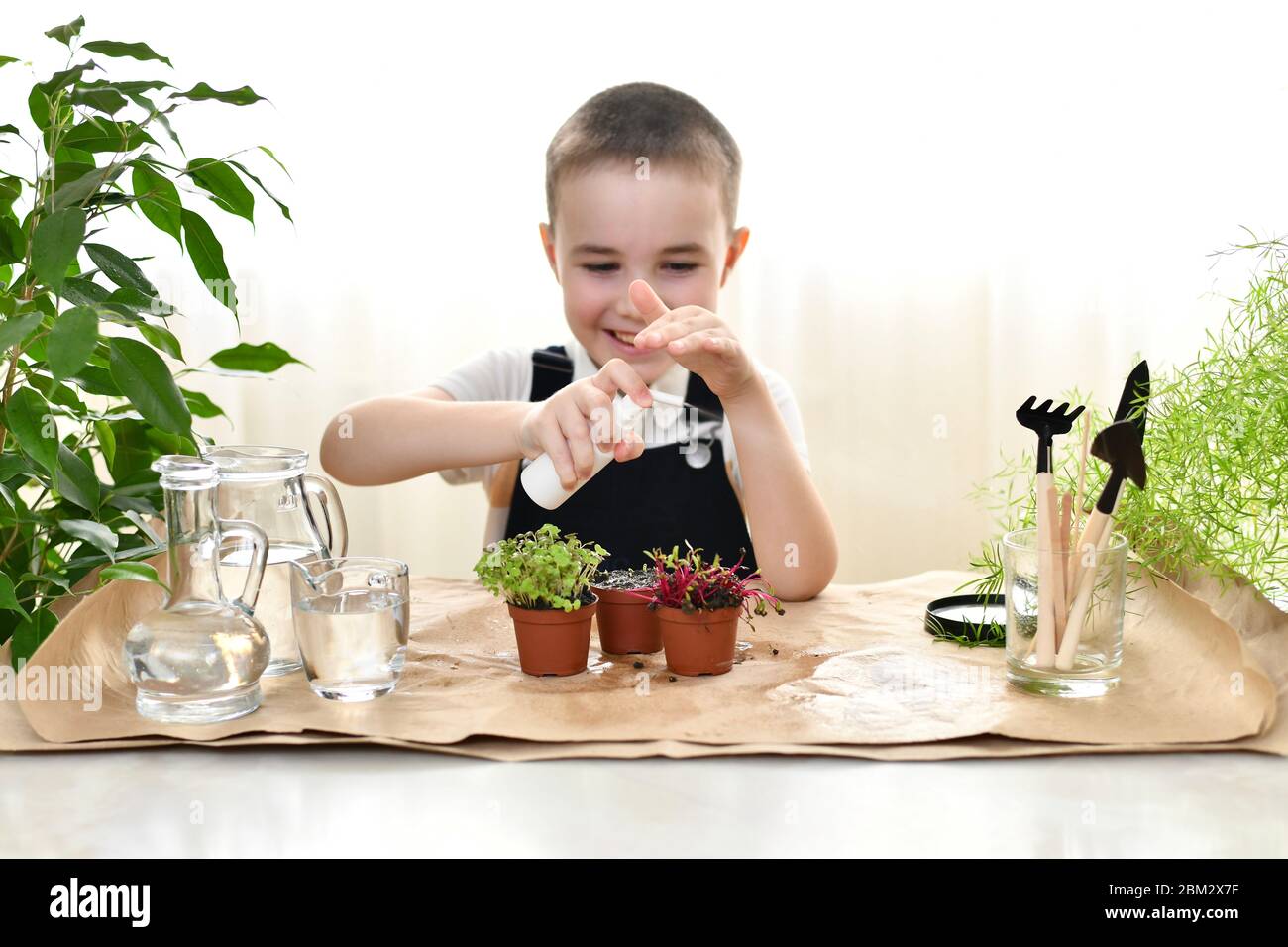 L'enfant prend soin des plantes germées dans des pots. S'amuser, éclabousser au-delà de l'eau du jet. Banque D'Images