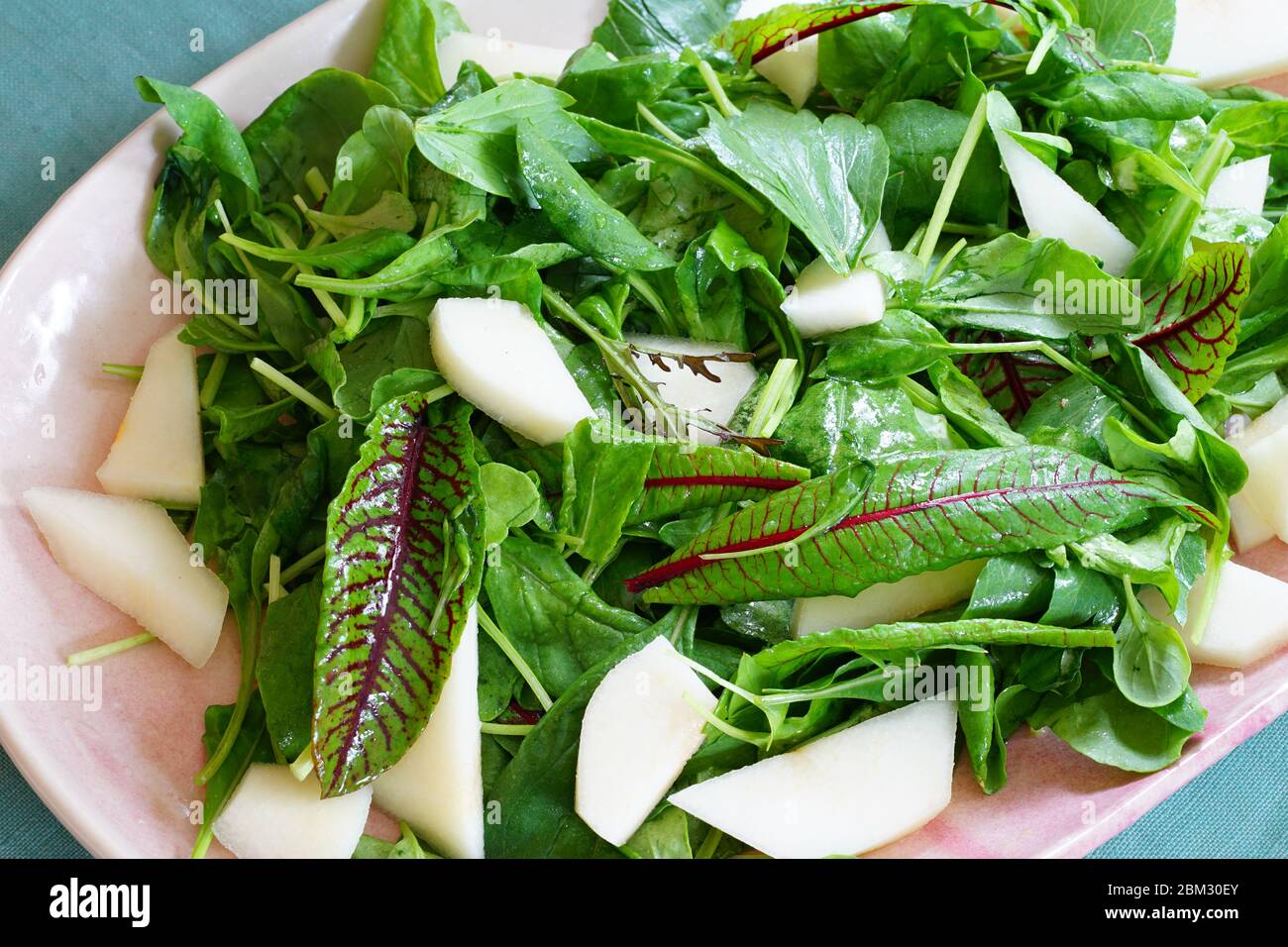 Salade verte et poire mélangée avec feuilles de sang de l'usine d'étrel rouge rumex sanguineus Banque D'Images