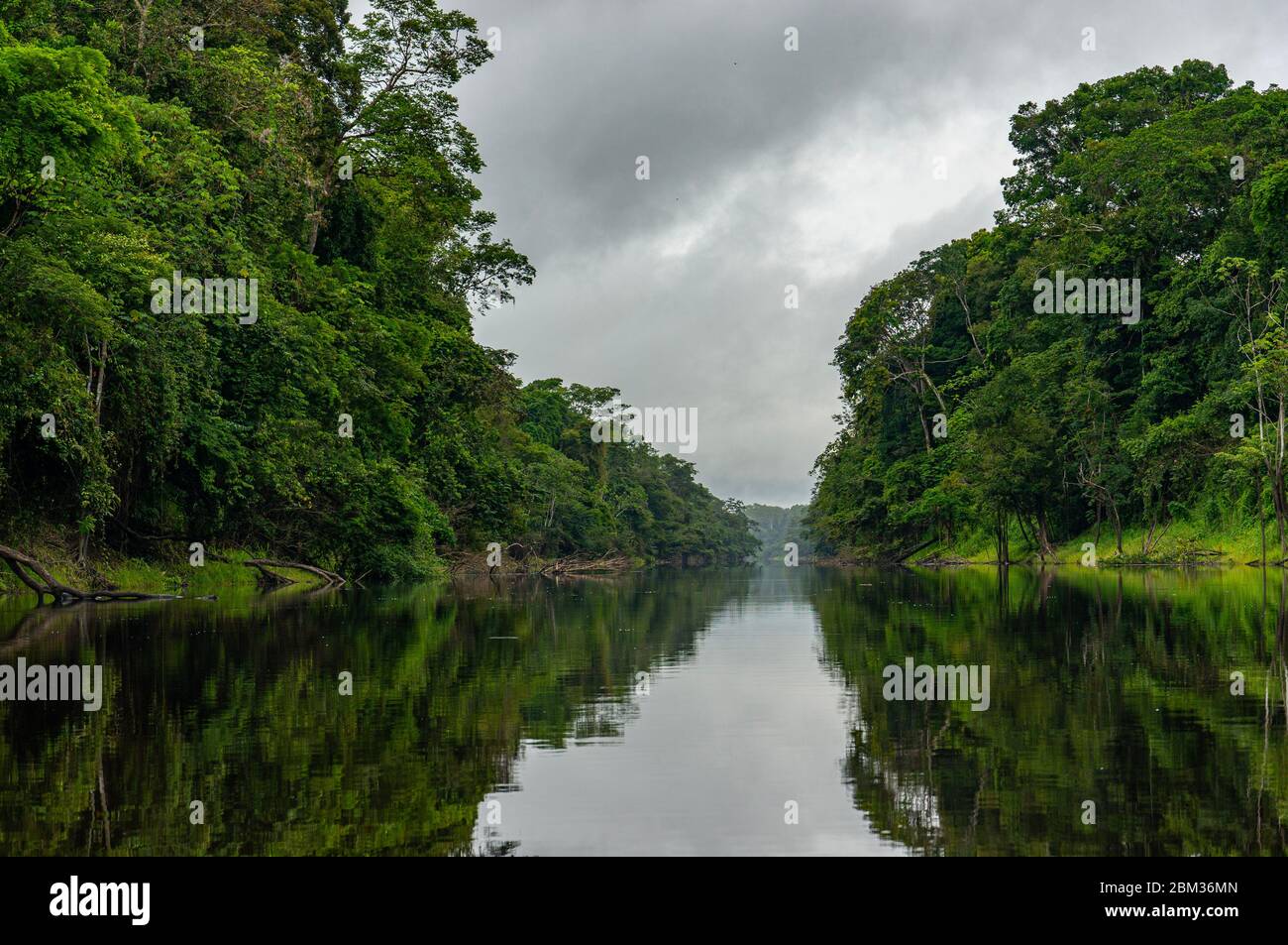 L'Amazone Yana Yakku Yacu de la rivière Yana dans la forêt tropicale Banque D'Images