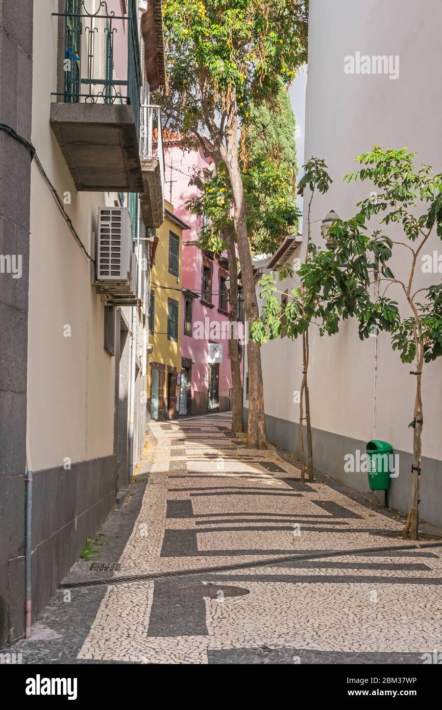 Funchal, Portugal - 10 novembre 2019 : centre historique et une des rues étroites près de Rua da Conceicao avec arbres et pavé portugais typique Banque D'Images