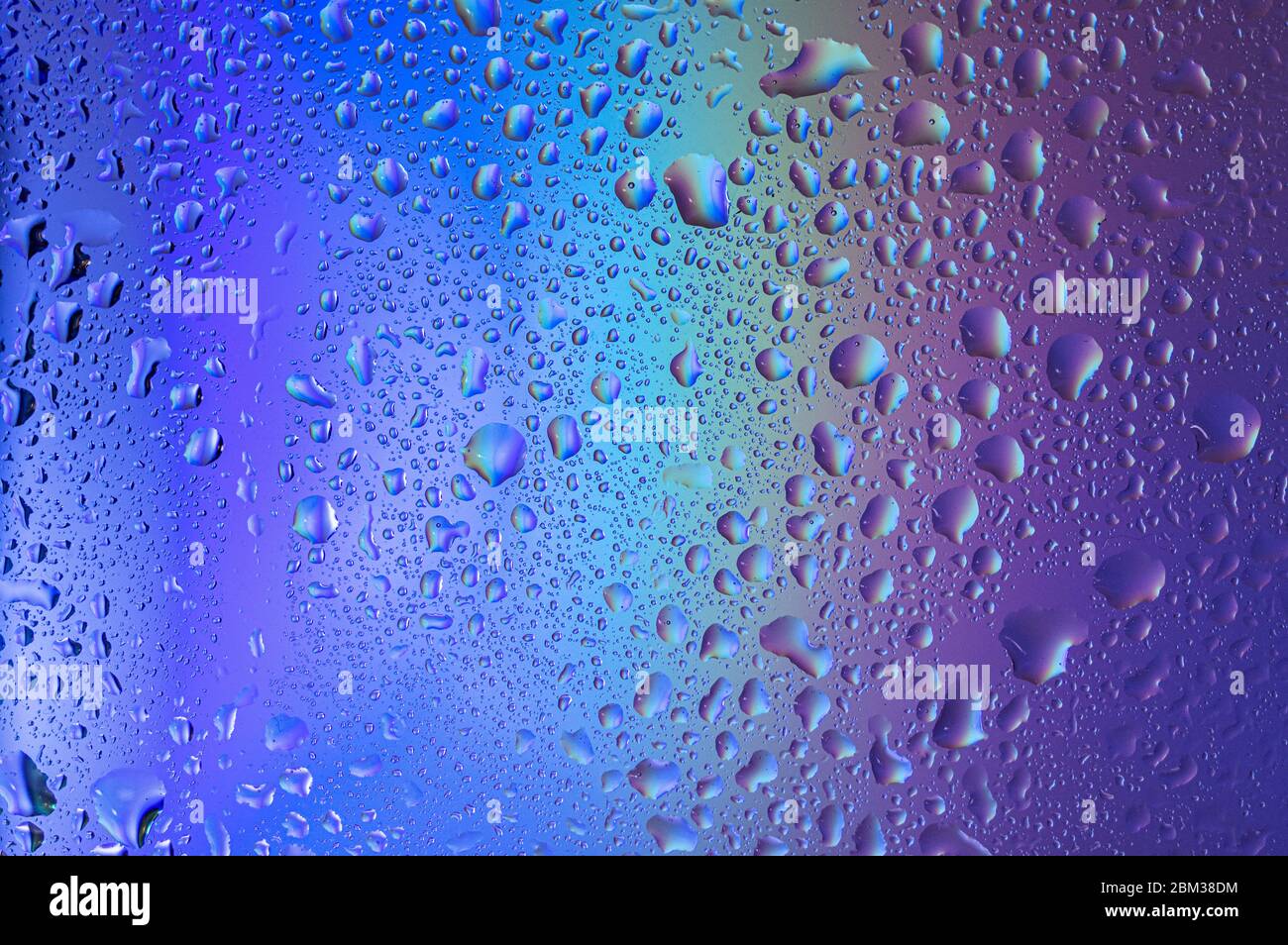 Dégradé violet-bleu avec gouttes sur verre. Arrière-plan avec gouttes d'eau. Fond bleu avec gouttes d'eau. Banque D'Images