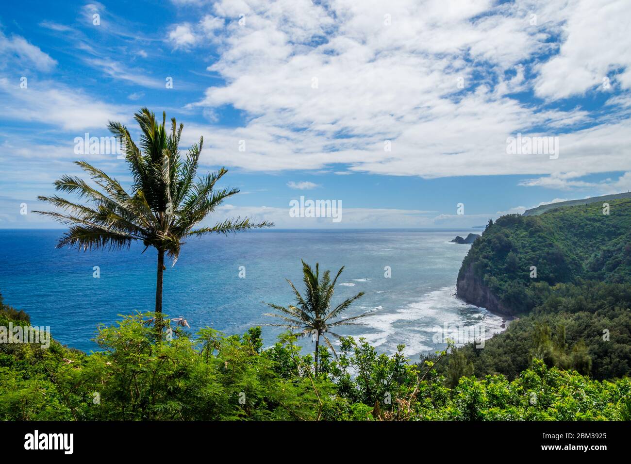Hawaï depuis Pololu Valley Lookout, vue sur la côte de Kohala de Big Island Banque D'Images
