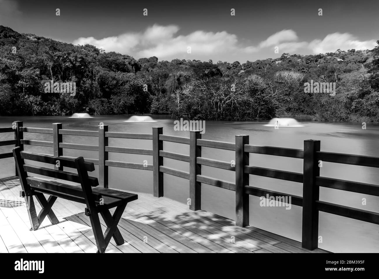 Un banc vide face à un lac et une forêt, en noir et blanc Banque D'Images