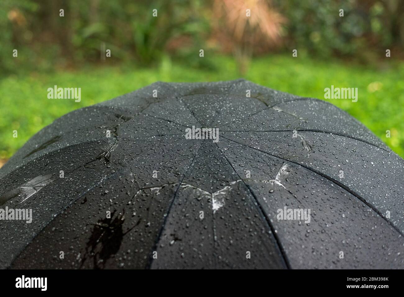 Un parapluie noir mouillé sous la pluie Banque D'Images