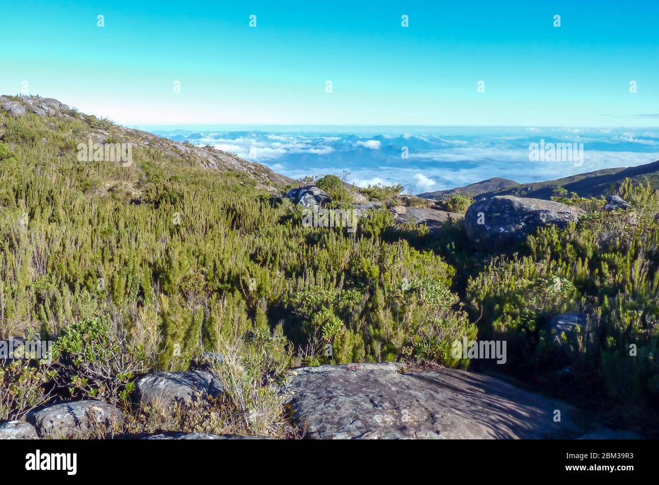 Sentier jusqu'au sommet du drapeau, parc national de Caparao, Alto Caparao, Minas Gerais, Brésil Banque D'Images