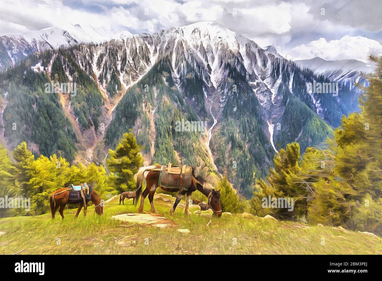 Paysage de montagne scénaire avec des chevaux de peinture colorée, Jammu et Cachemire, Inde Banque D'Images