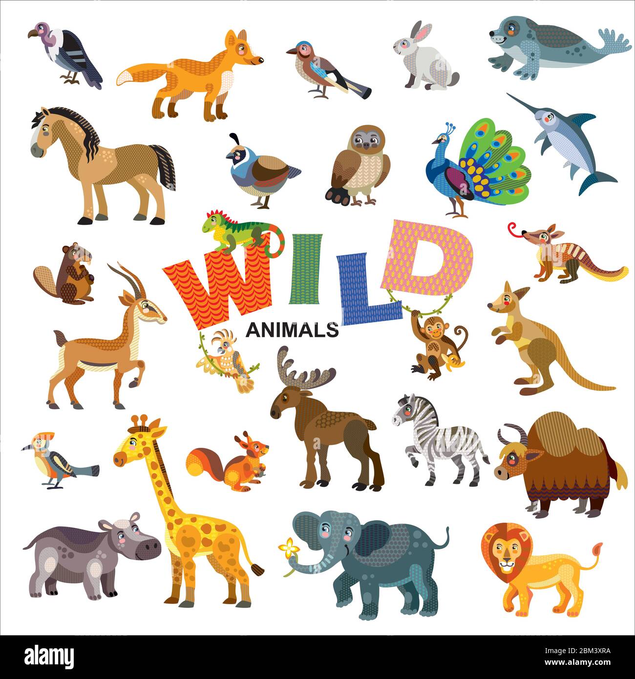 Animaux sauvages dans la vue de face et de côté grand dessin animé vectoriel de style plat isolé sur fond blanc. Illustration vectorielle d'animaux pour enfant Illustration de Vecteur