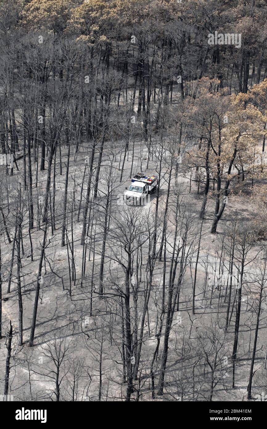 Comté de Bastrop, États-Unis, 16 septembre 2011 : dommages aériens d'incendie où des incendies de forêt ont brûlé 38 000 acres et plus de 1 500 maisons avec deux décès signalés. Les arbres du parc national de Bastrop ont été les plus durement touchés, plus de 95 % de la superficie du parc ayant été noircie ou détruite. ©Bob Daemmrich Banque D'Images