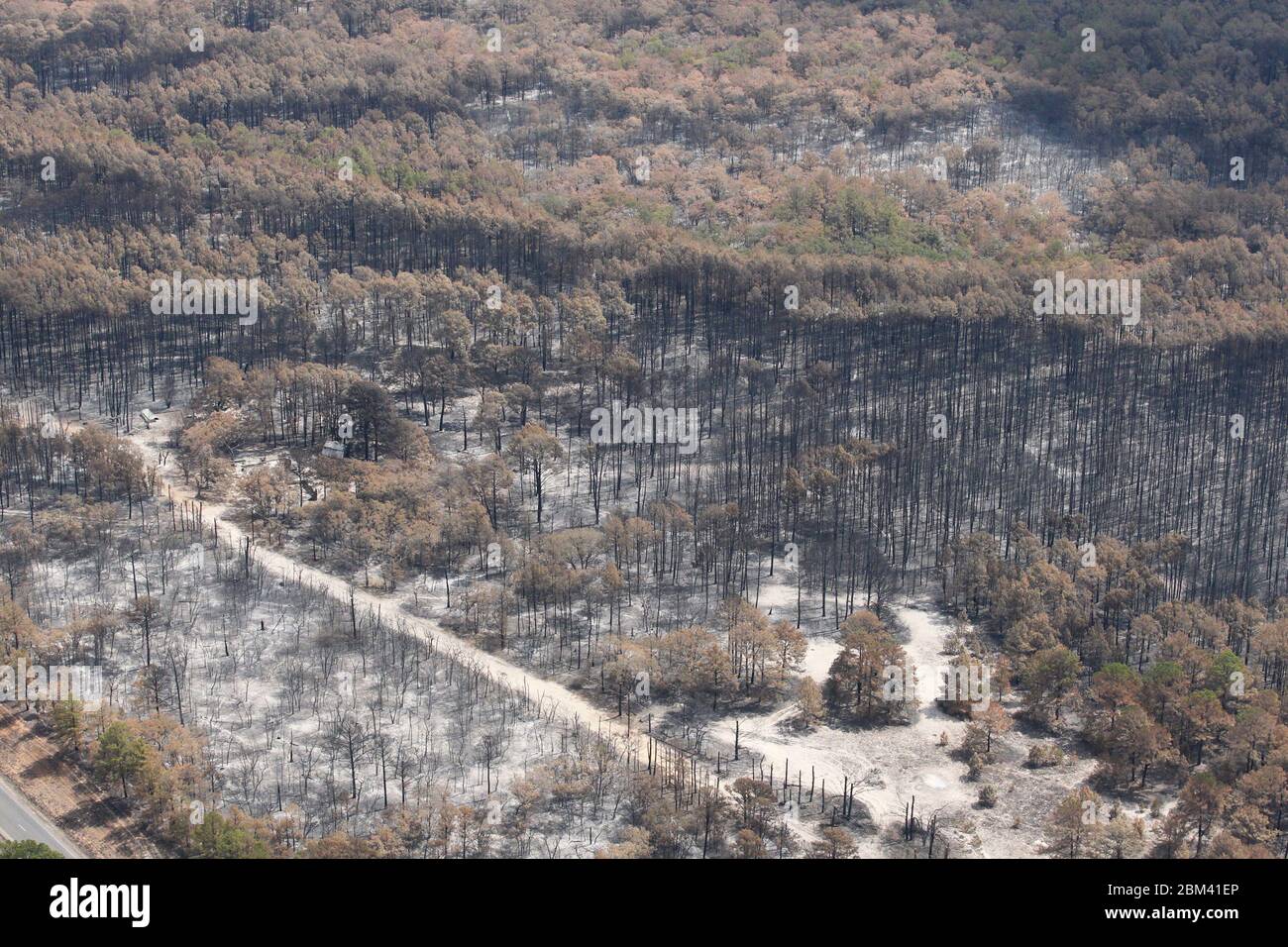 Comté de Bastrop, États-Unis, 16 septembre 2011 : dommages aériens d'incendie où des incendies de forêt ont brûlé 38 000 acres et plus de 1 500 maisons avec deux décès signalés. Les arbres du parc national de Bastrop ont été les plus durement touchés, plus de 95 % de la superficie du parc ayant été noircie ou détruite. ©Bob Daemmrich Banque D'Images