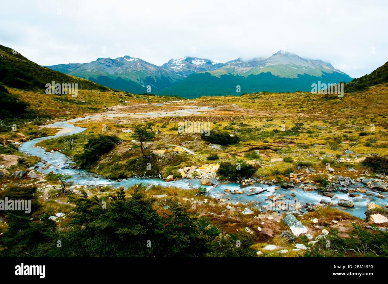 Parc National De La Tierra Del Fuego Patagonie Banque De Photographies parc-national-de-la-tierra-del-fuego-patagonie-banque-de-photographies