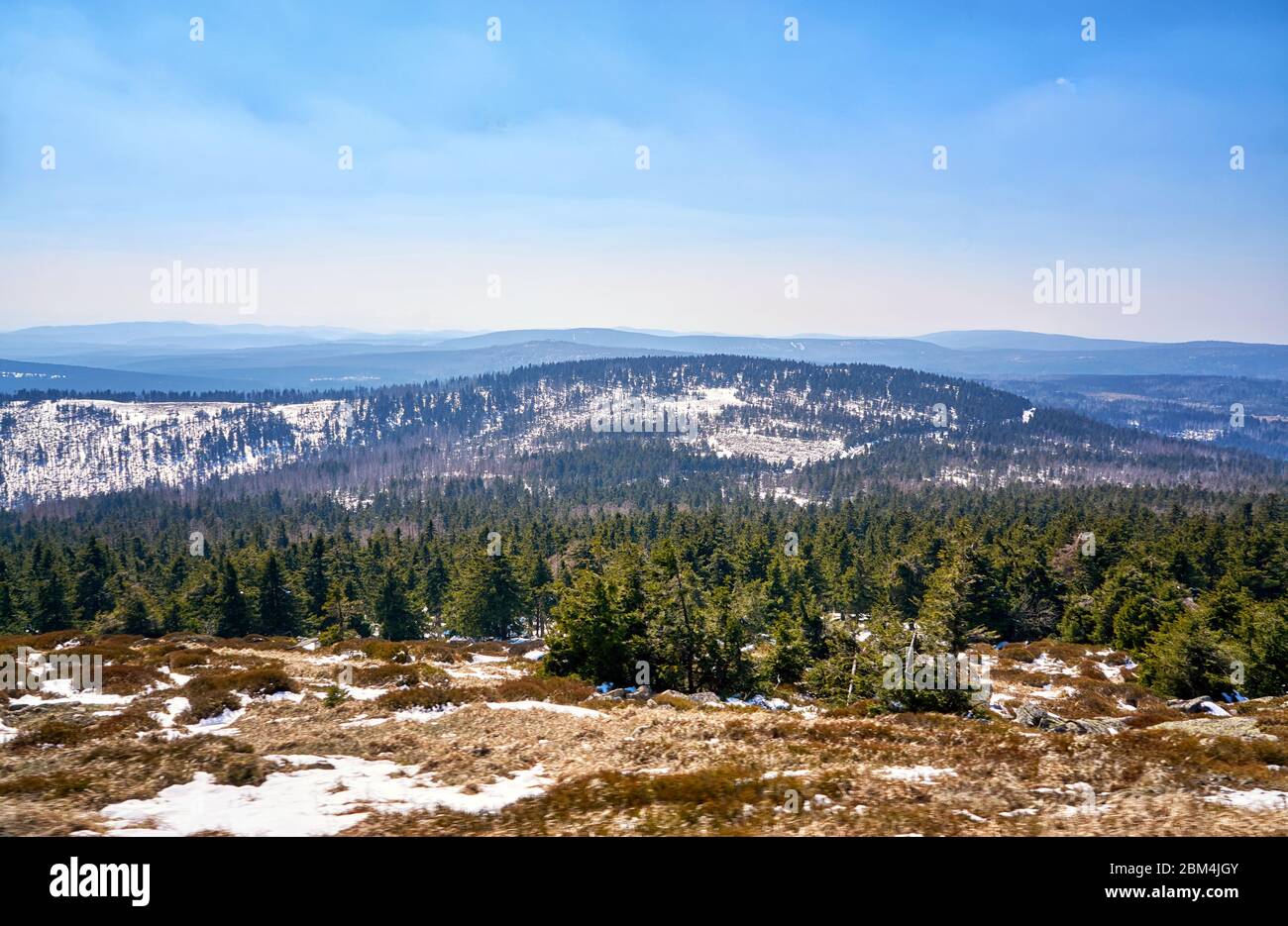 Neige et conifères dans les montagnes Harz en hiver. Banque D'Images