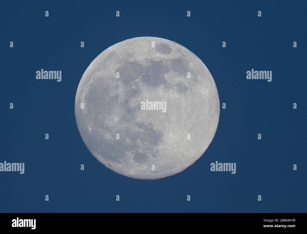 Gros plan de la lune du soir qui monte le soir du 6 mai 2020, qui sera fixé dans les premières heures du 7 mai comme la dernière 'Supermoon' de 2020. Crédit: Malcolm Park/Alay. Banque D'Images
