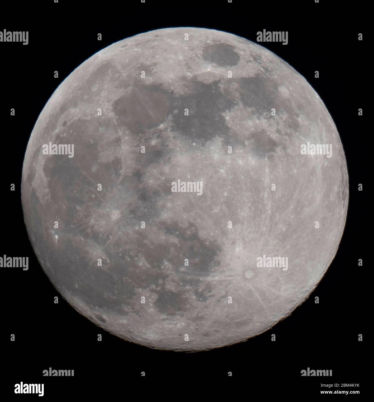 Gros plan de la lune du soir qui monte le soir du 6 mai 2020, qui sera fixé dans les premières heures du 7 mai comme la dernière 'Supermoon' de 2020. Crédit: Malcolm Park/Alay. Banque D'Images
