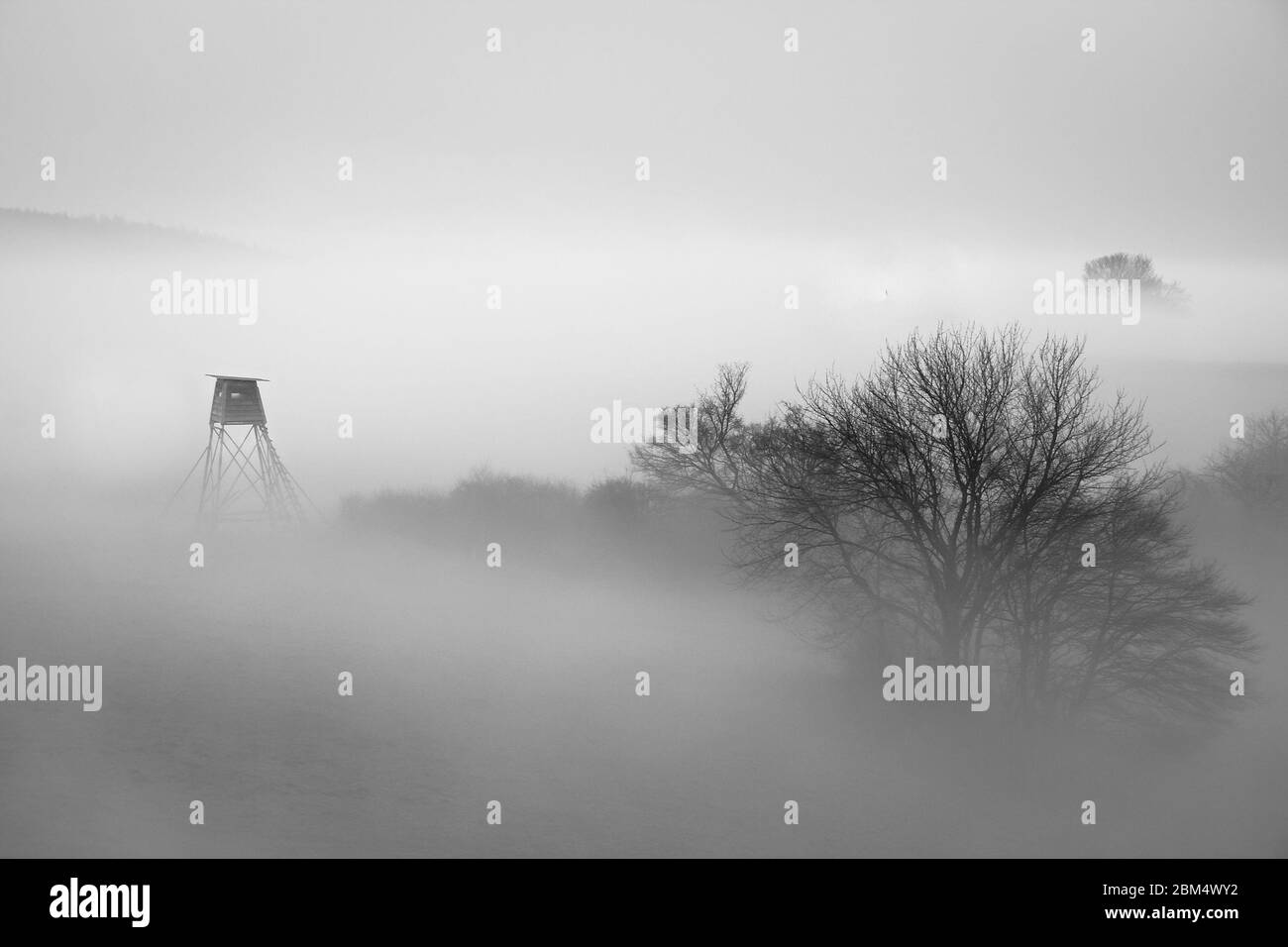 Tour d'observation de chasse dans le brouillard, République tchèque. Banque D'Images