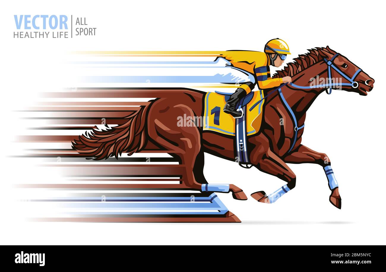 Jockey sur le cheval de course. Sport. Champion. Hippodrome. Allée principale. Equestrian. Derby. Illustration du vecteur de vitesse isolée sur fond blanc Illustration de Vecteur