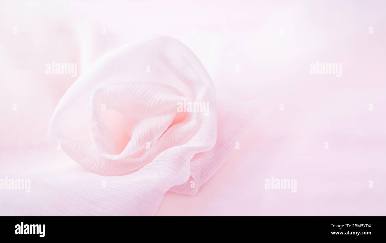 Rose fleur rose soie sur fond rose pâle, espace copie Banque D'Images