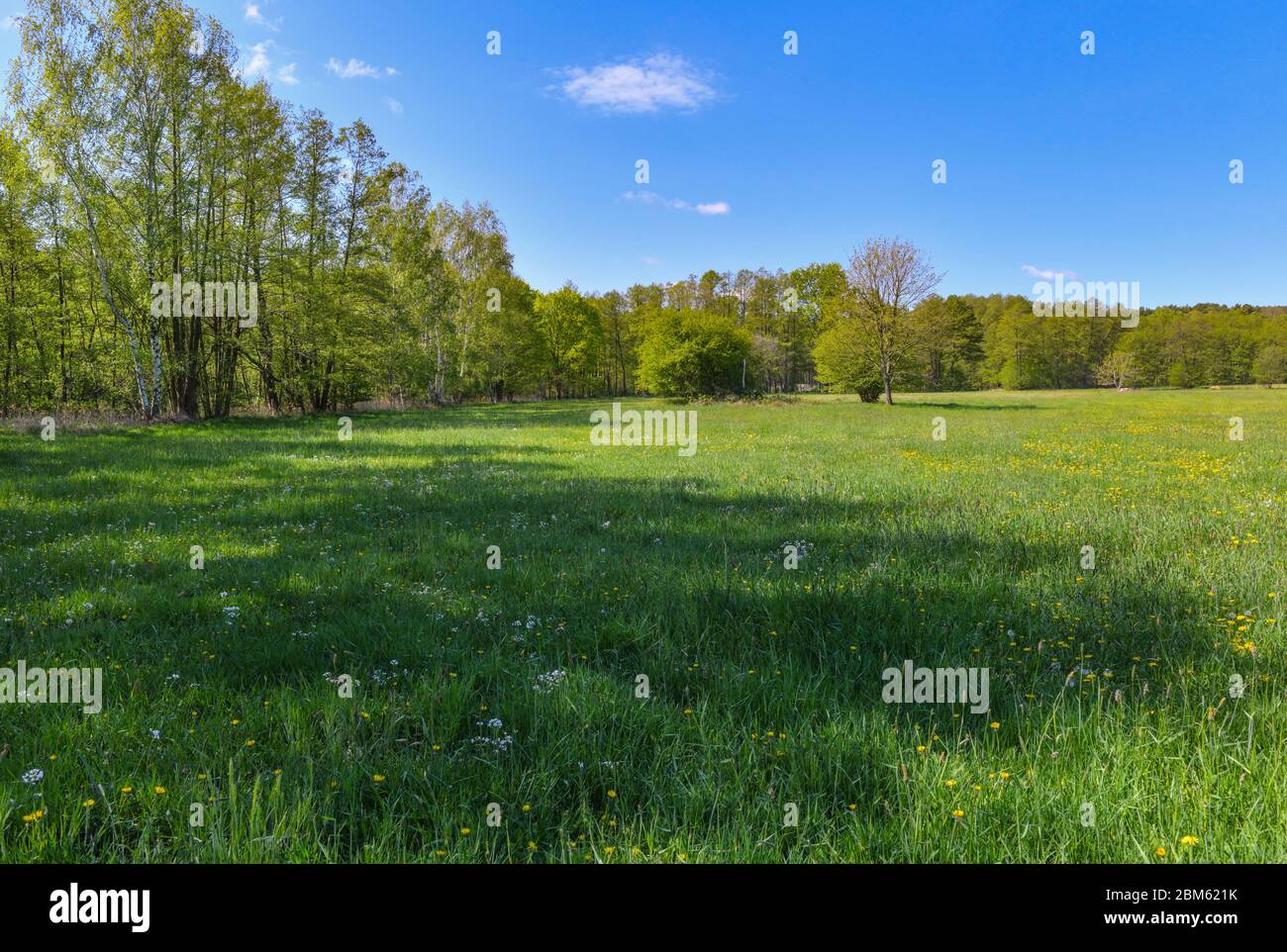 Habitat directive Banque de photographies et d’images à haute