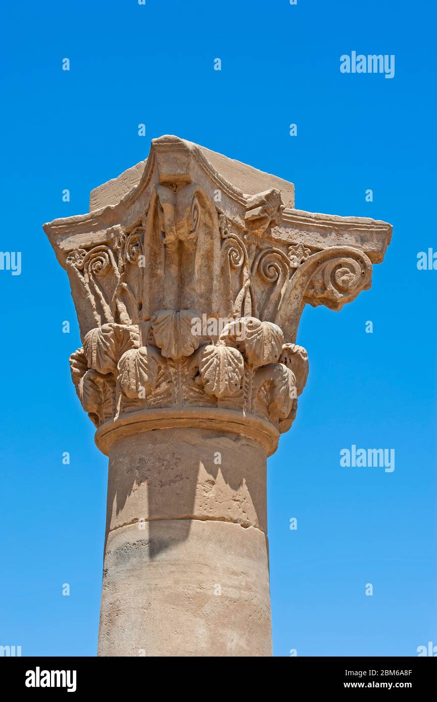 Sculptures sur le sommet de la colonne de la gréco-romaine au temple égyptien antique de Hathor à Dendera Banque D'Images