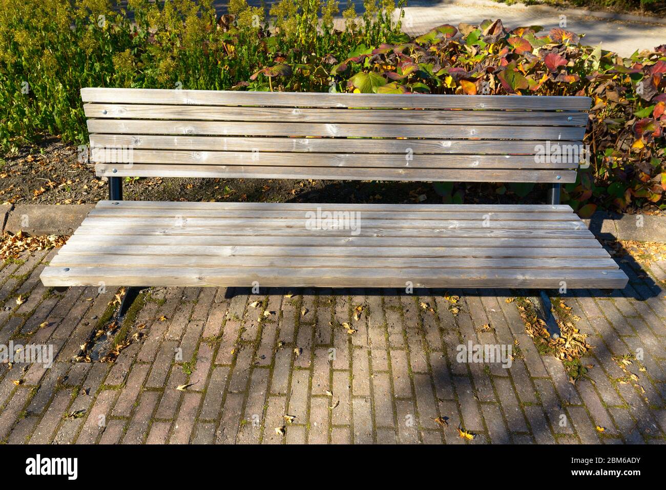 Portrait d'un ancien banc en bois avec de grands arbres verts dans le parc Banque D'Images